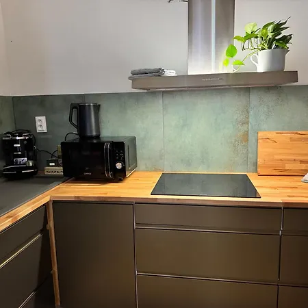 Apartmán U Vetešnictví Ostrava